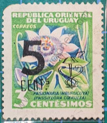 Flor de la pasión 5c - Sello Uruguay 1959