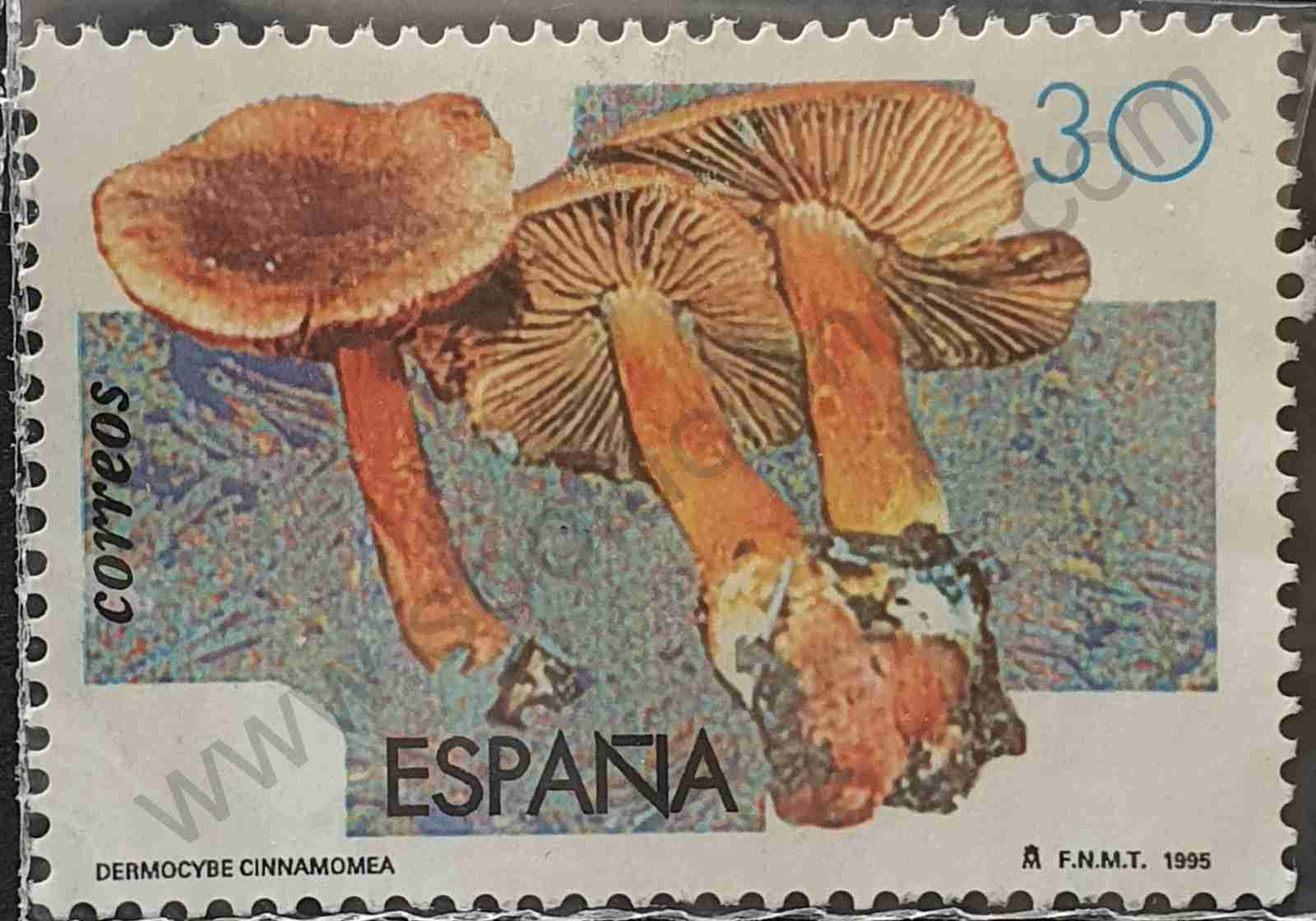 Sello Seta Dermocybe Cinnamomea - España 1995