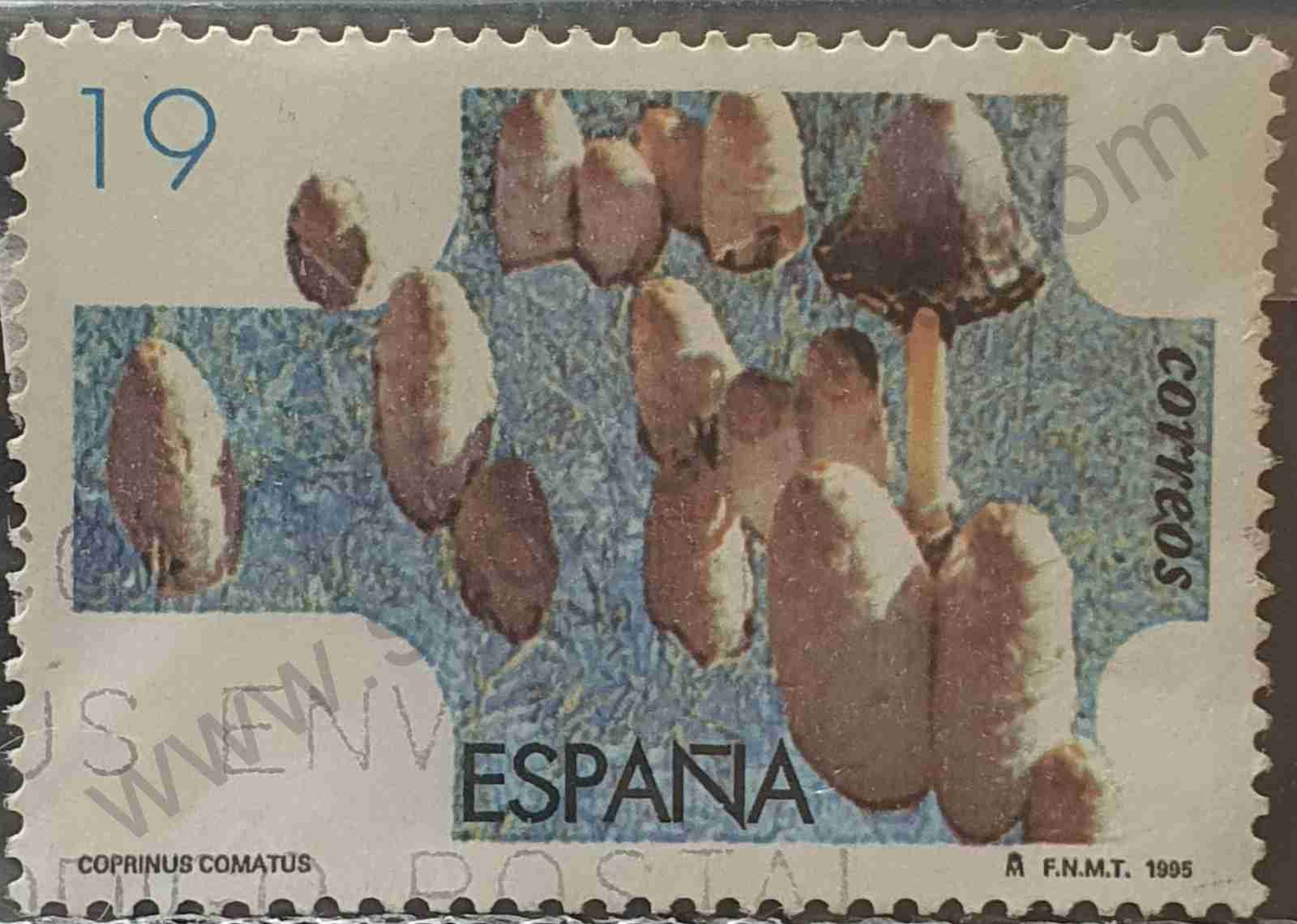 Sello seta Coprinus comatus - España 1995