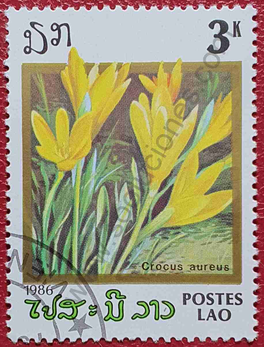 Sello Flor Crocus amarillo - Laos 1986